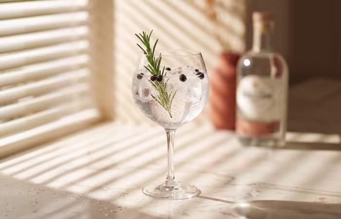 gin-cateogrie